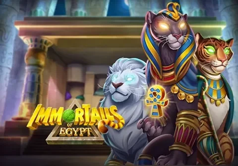 Artwork ImmorTails of Egypt