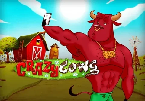 Artwork Crazy Cows