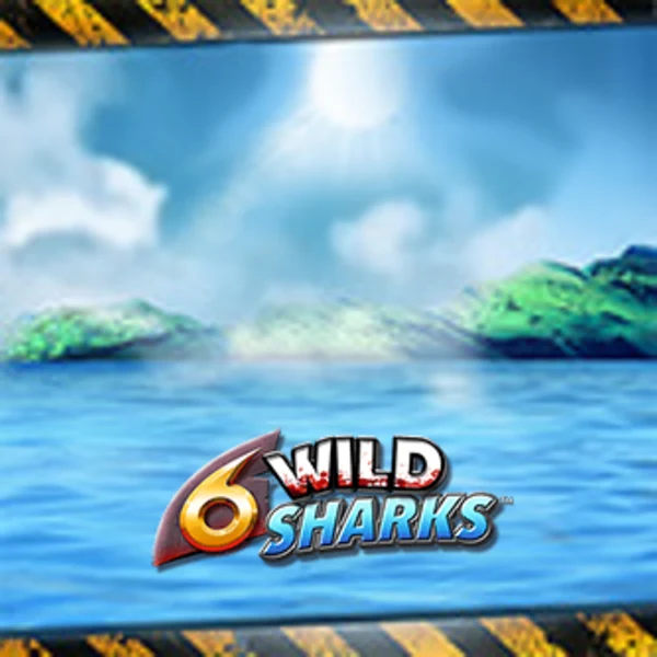 6 Wild Sharks