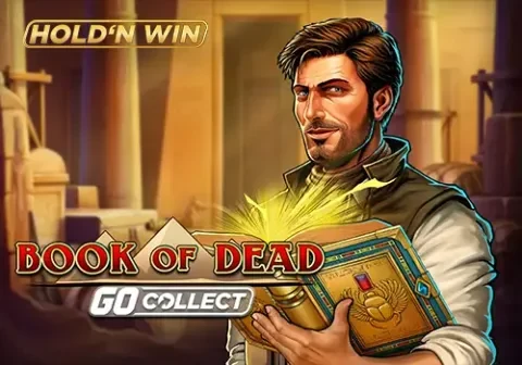Artwork Book of Dead GO Collect