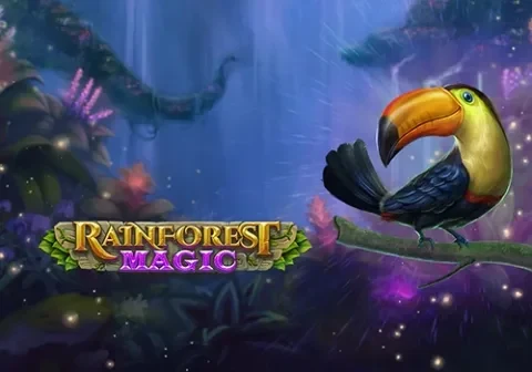 Artwork Rainforest Magic