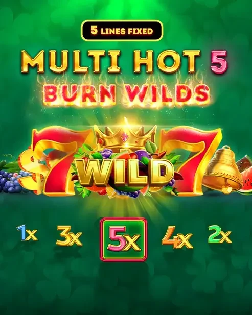 Artwork Multi Hot 5 Burn Wilds