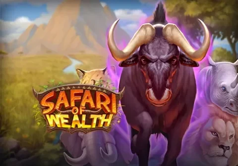 Artwork Safari of Wealth