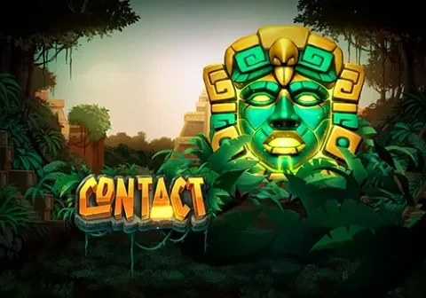 Artwork Contact
