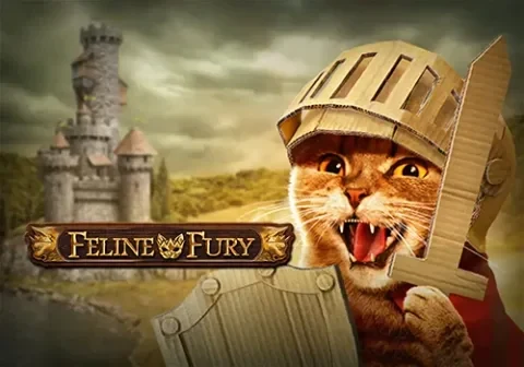 Feline Fury