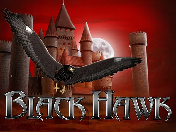 Artwork Black Hawk