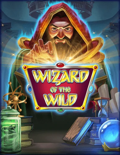 Artwork Wizard of the Wild